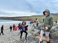 Glowing Plastic Detectives: 10 pieces in every gram of sand