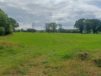 Nature reserve to expand and restore rainforest