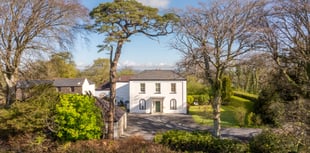 Two "stunning" homes for sale with Victorian features and hill views 