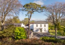 Two "stunning" period homes for sale with Victorian features and hill views