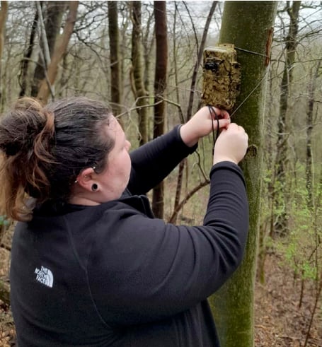 Volunteer bat detector training in Pembrokeshire