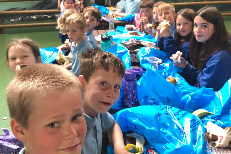 Tavernspite CP School pupils at Folly Farm during the Annual Rotary event