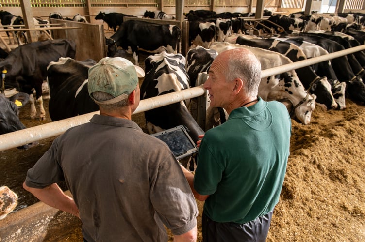 The Practice Syndromic Surveillance Project (PSSP) is part of the Arwain DGC programme. Photo: Iechyd Da