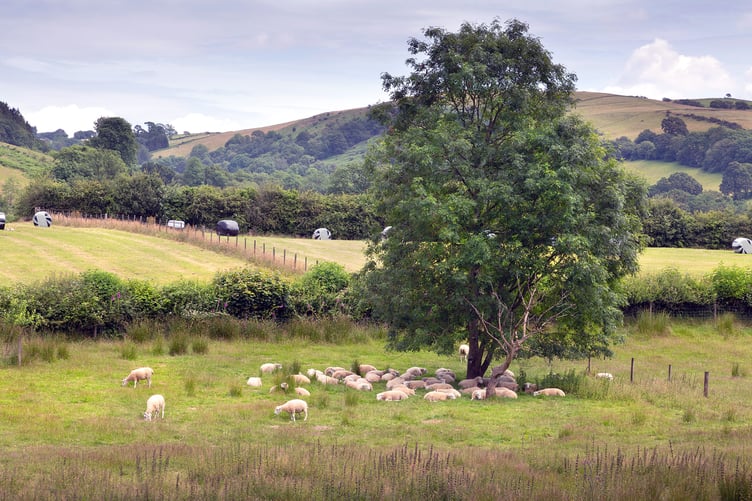 Concerns are growing over the decline of small abattoirs in Wales and its impact on local farming and sustainable food production