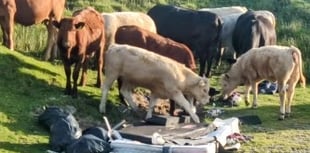 Campaign to end rural fly-tipping injustice