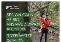 River Water Quality drop-in session, Solva, July 18