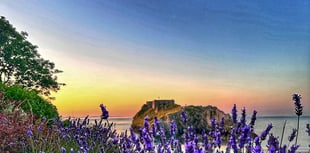 SLIDESHOW: Picture This - photos of Tenby, 2025