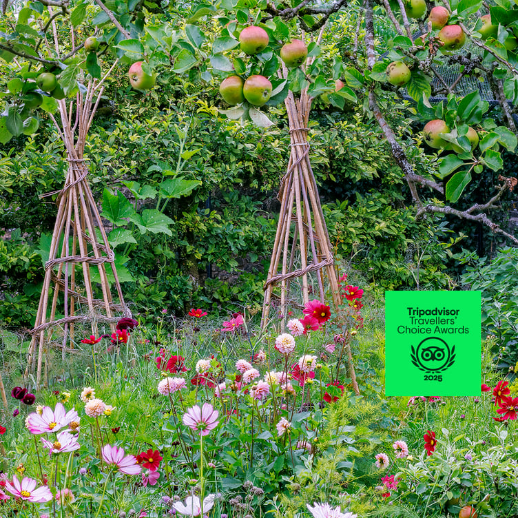 Aberglasney Kitchen Garden, July 2025