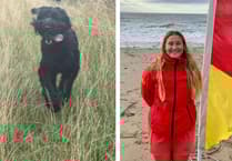 Dog rescued by RNLI lifeguard after swimming 200m out to sea off Pembrokeshire beach