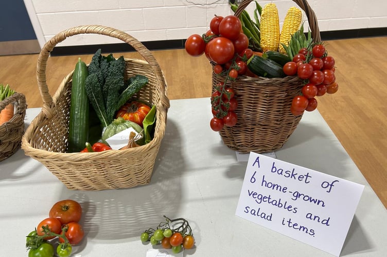 Impressive entries of home-grown produce at Manorbier’s first village show