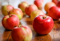 Harvest Thanksgiving at Narberth Bethesda Chapel