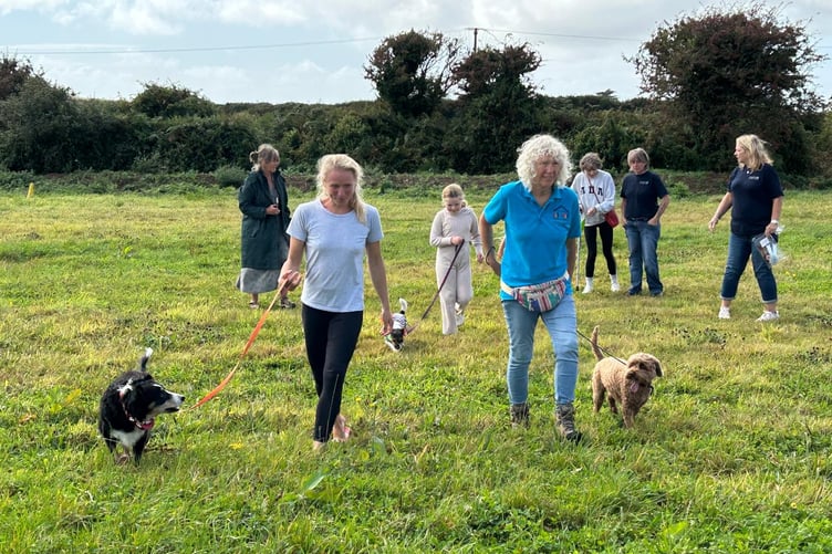 Dogs assembling for Dog Show at Manorbier & District Village Show