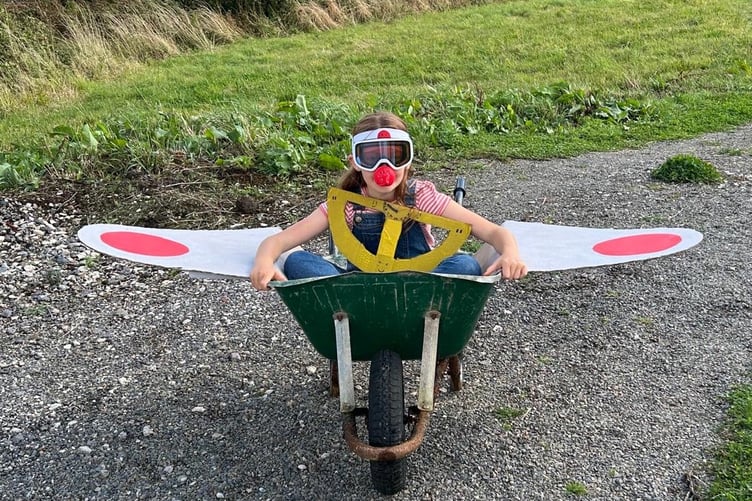 Wheelbarrow with wings at Manorbier & District Village Show