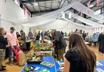 Manorbier Village Show triumphs over rain