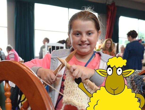 West Wales Wool Show 2015