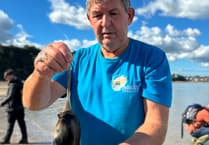 Students go coastal foraging at Saundersfoot with Craig Evans