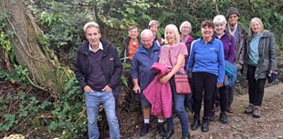 Steps2Health: September highlights