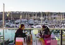 Milford Waterfront Glows with Christmas Magic