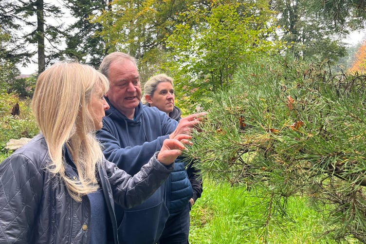 Helen Scutt, the garden’s Director with Andrew and Sian (Gower Gin Company) foraging for the ingredients in the gardens