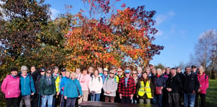 Steps2Health walking group overcomes November challenges
