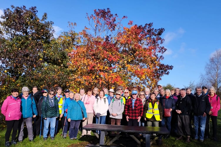November 8, 2025, Steps2Health held their first ever club walk in East Williamston. It was a lovely walk and hailed as a great success.