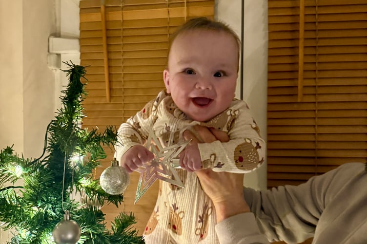 Milo decorating the family Christmas tree