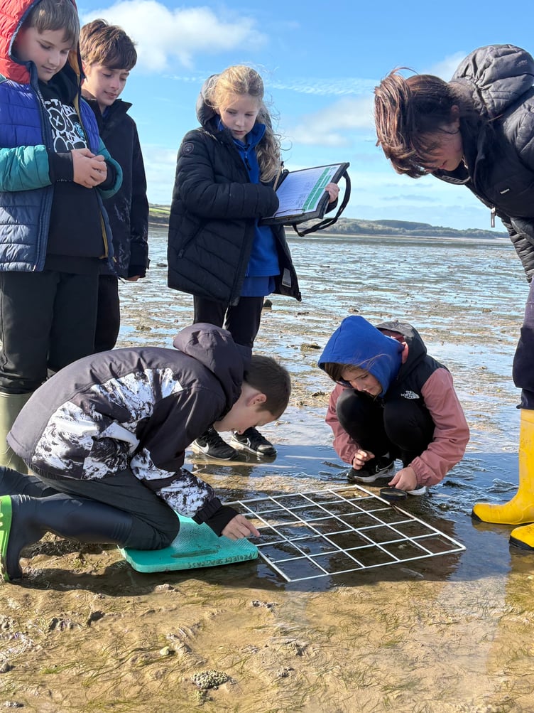 Estimating percentage seagrass cover with Emma from Project Seagrass