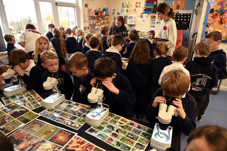 Darwin's discovery room with the Darwin Centre
