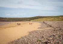 Join the New Year litter pick at Freshwater West beach