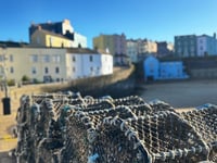 Picture This: Tenby in 2026: Tenby Observer Photography Club