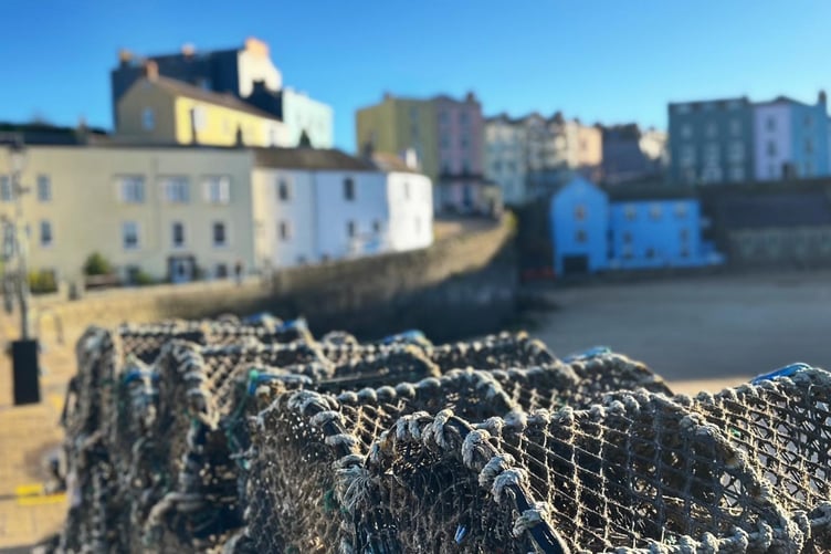 Tenby Harbour colours