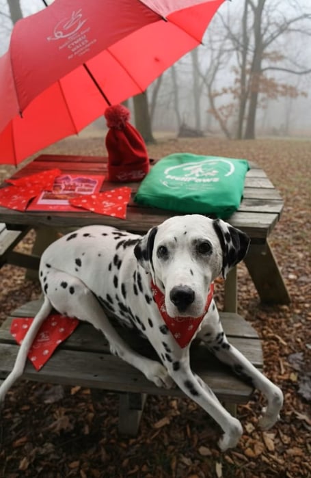 Hamish is ready for a lifesaving ‘walkies’