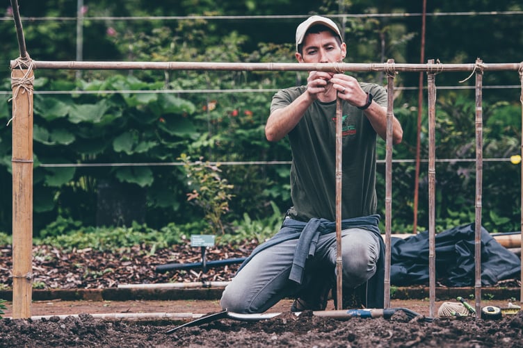 With around 200,000 visitors each year, apprentices play a key role in maintaining nationally important plant collections in Wales.