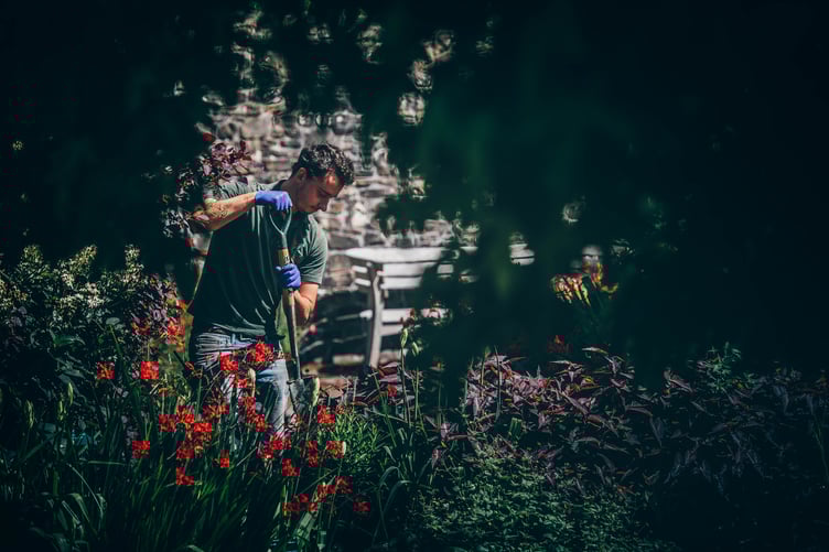 Tuesday 21 July 2020
National Botanic Gardens of Wales