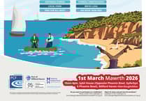 Explore the Festival of the Sea at Milford Haven