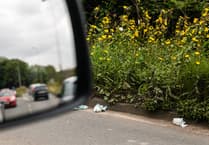 Wales tackles roadside litter with new campaign