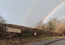 Carmarthenshire’s nature initiative thrives