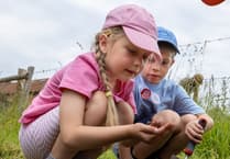 Youngsters: Get naturally creative in the Open Farm Sunday sticker competition