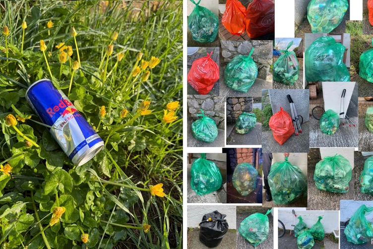 Litter collecting - Carew, Redberth