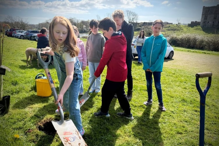 Park Authority representatives and local youth plant a descendant of the Sycamore Gap tree.