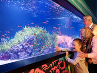 5 Top London Attractions for £59 + Free Theme Park Ticket!*