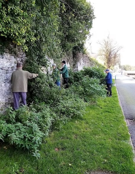 Pembroke Town Walls - clearing ivy