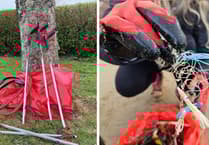 Blakemore Foundation aids Pembrokeshire beach clean