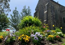 Embracing nature in Narberth churches