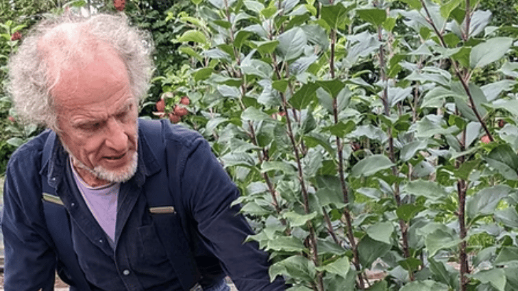 Ein Coed tree network open to local growers