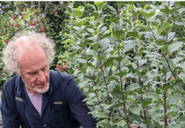 Ein Coed tree network open to local growers