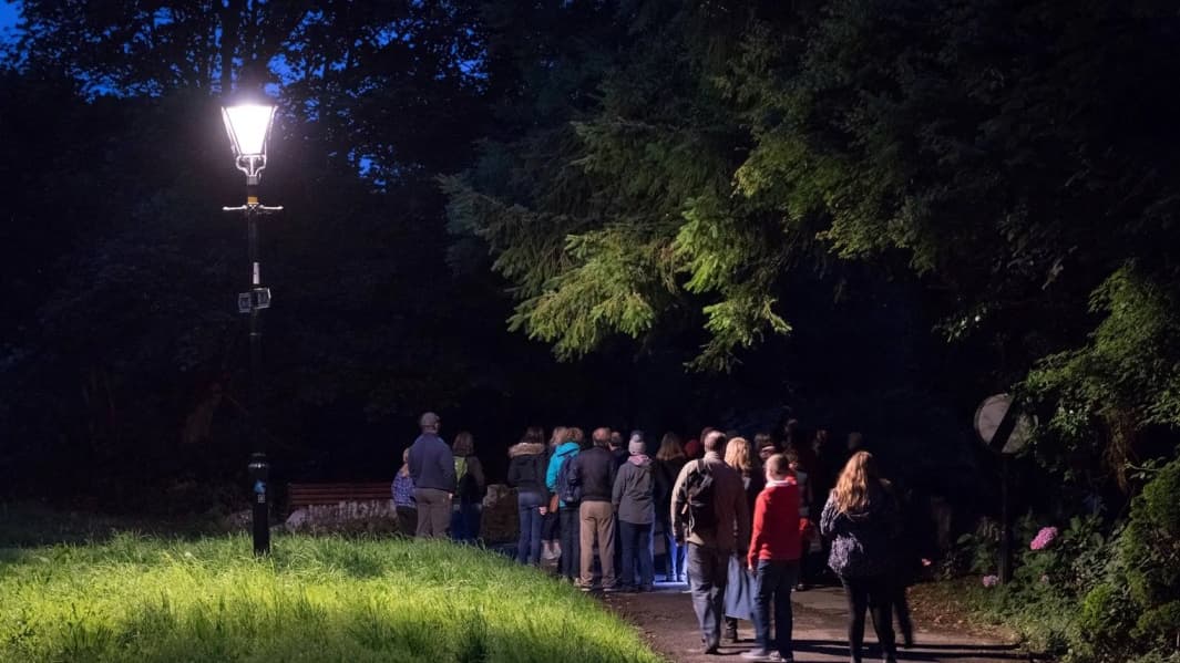 Discover Pembrokeshire's hidden nightlife