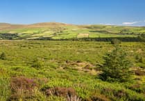Apply now for Ffermio Bro support in Pembrokeshire