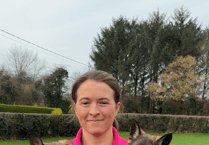 Must Love Dogs: Defining responsible ownership in face of ‘growing crisis’