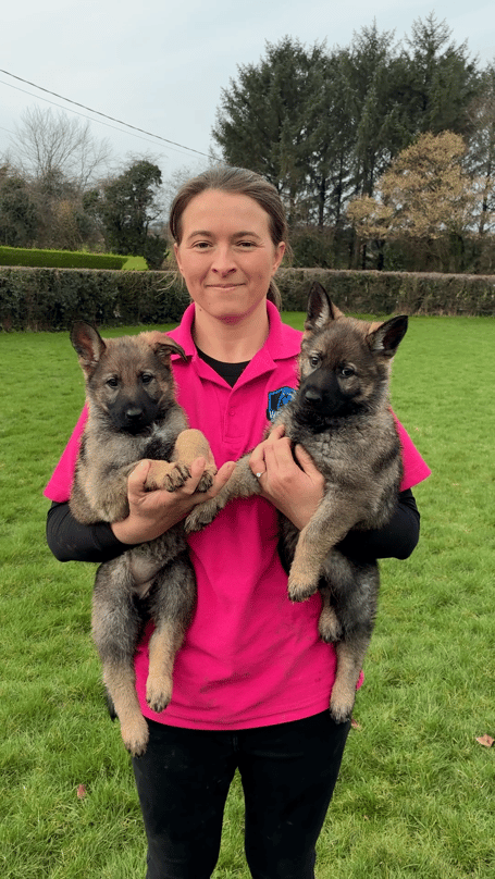 £1million in Welsh Government funding for 2026/27, confirmed by the previous administration, enables Animal Licensing Wales to maintain its specialist team supporting local authorities to regulate animal activities, tackle illegal breeding, and prosecute offenders.